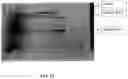 Fig. 19 - IMMUNOREGULATORY STRUCTURES FROM NORMALLY OCCURING PROTEINS