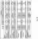 Fig. 60 - Pharmaceutical composition for safe and effective treatment of knee and/or hip pain
