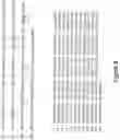 Fig. 09 - Binding agents