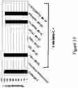 Fig. 18 - Binding agents