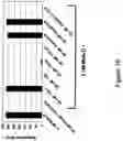 Fig. 19 - Binding agents