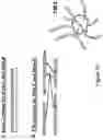 Fig. 20 - Binding agents