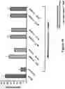 Fig. 25 - Binding agents
