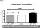 Fig. 02 - COMPOSITIONS AND METHODS FOR ANTIBODIES TARGETING EPO