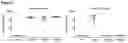 Fig. 04 - COMPOSITIONS AND METHODS FOR ANTIBODIES TARGETING EPO