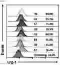 Fig. 11 - Binding molecule specific for Lrig-1 protein and use thereof