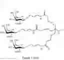 Fig. 05 - Oligonucleotides for reduction of PD-L1 expression