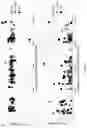 Fig. 06 - Oligonucleotides for reduction of PD-L1 expression
