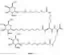 Fig. 07 - Oligonucleotides for reduction of PD-L1 expression