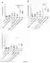 Fig. 15 - Oligonucleotides for reduction of PD-L1 expression