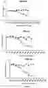 Fig. 18 - Oligonucleotides for reduction of PD-L1 expression