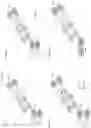 Fig. 06 - MULTISPECIFIC ANTIGEN BINDING PROTEINS