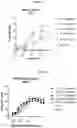 Fig. 09 - MULTISPECIFIC ANTIGEN BINDING PROTEINS