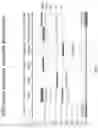 Fig. 14 - BISPECIFIC ANTIBODIES