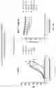 Fig. 32 - BISPECIFIC ANTIBODIES