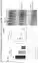 Fig. 38 - BISPECIFIC ANTIBODIES