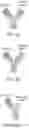 Fig. 03 - CD3 binding antibodies