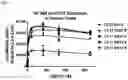 Fig. 11 - Anti-CD3 antibodies and uses thereof