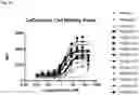 Fig. 22 - Anti-CD3 antibodies and uses thereof