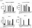 Fig. 26 - Anti-CD3 antibodies and uses thereof