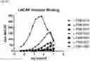 Fig. 29 - Anti-CD3 antibodies and uses thereof