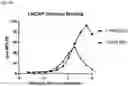 Fig. 32 - Anti-CD3 antibodies and uses thereof