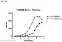 Fig. 38 - Anti-CD3 antibodies and uses thereof