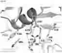 Fig. 42 - Anti-CD3 antibodies and uses thereof