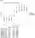 Fig. 62 - Anti-CD3 antibodies and uses thereof