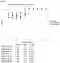 Fig. 67 - Anti-CD3 antibodies and uses thereof