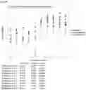Fig. 73 - Anti-CD3 antibodies and uses thereof