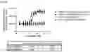 Fig. 85 - Anti-CD3 antibodies and uses thereof
