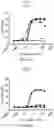 Fig. 91 - Anti-CD3 antibodies and uses thereof