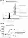 Fig. 07 - Multispecific polypeptide constructs containing a constrained CD3 binding domain and a receptor binding region and methods of using the same
