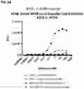 Fig. 11 - Multispecific polypeptide constructs containing a constrained CD3 binding domain and a receptor binding region and methods of using the same
