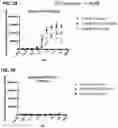 Fig. 13 - Multispecific polypeptide constructs containing a constrained CD3 binding domain and a receptor binding region and methods of using the same