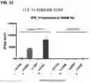 Fig. 22 - Multispecific polypeptide constructs containing a constrained CD3 binding domain and a receptor binding region and methods of using the same