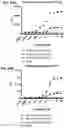 Fig. 23 - Multispecific polypeptide constructs containing a constrained CD3 binding domain and a receptor binding region and methods of using the same
