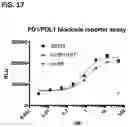 Fig. 27 - Multispecific polypeptide constructs containing a constrained CD3 binding domain and a receptor binding region and methods of using the same
