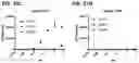 Fig. 34 - Multispecific polypeptide constructs containing a constrained CD3 binding domain and a receptor binding region and methods of using the same