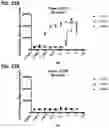 Fig. 35 - Multispecific polypeptide constructs containing a constrained CD3 binding domain and a receptor binding region and methods of using the same