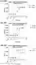 Fig. 45 - Multispecific polypeptide constructs containing a constrained CD3 binding domain and a receptor binding region and methods of using the same