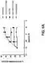 Fig. 10 - Fusion constructs and methods of using thereof