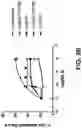 Fig. 11 - Fusion constructs and methods of using thereof