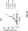 Fig. 12 - Fusion constructs and methods of using thereof