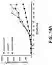 Fig. 23 - Fusion constructs and methods of using thereof