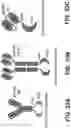 Fig. 53 - Fusion constructs and methods of using thereof