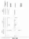Fig. 18 - HUMANIZED ANTI-BETA7 ANTAGONISTS AND USES THEREFOR