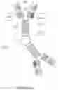 Fig. 17 - ALK7 ANTAGONISTS AND USES THEREOF