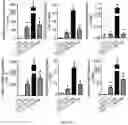 Fig. 27 - ALK7 ANTAGONISTS AND USES THEREOF